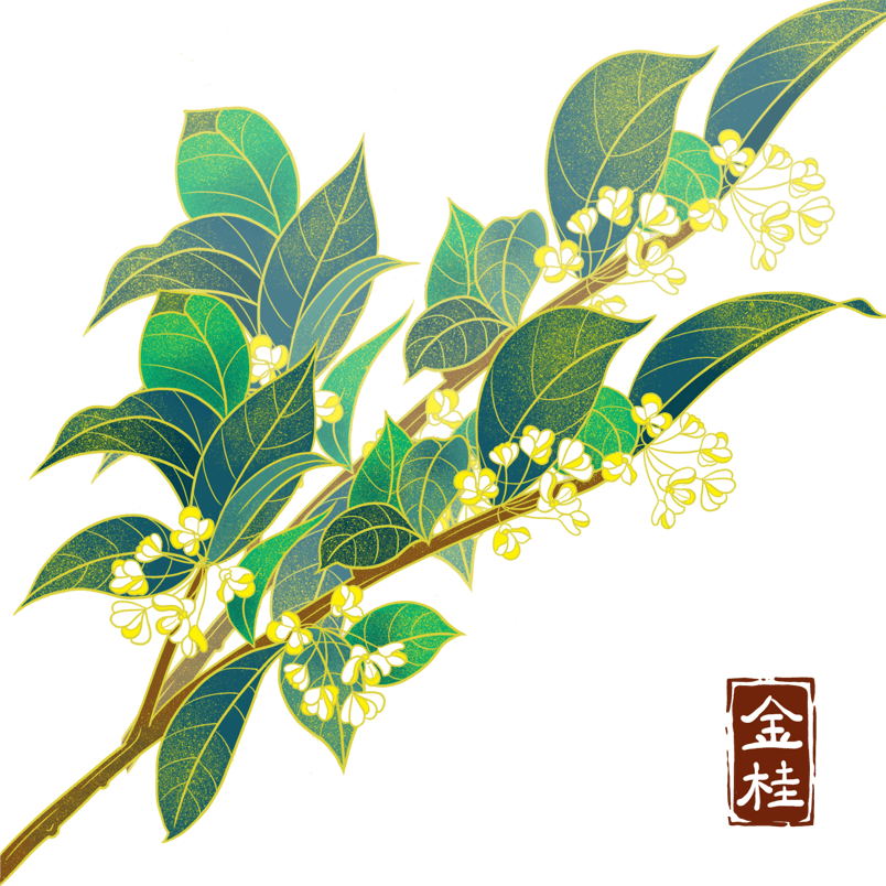 手绘中国风桂花植物元素