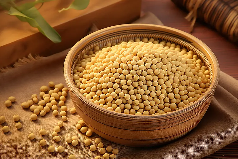 黄豆原材料新鲜健康营养食材