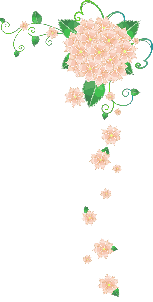 花框花边底纹花边框