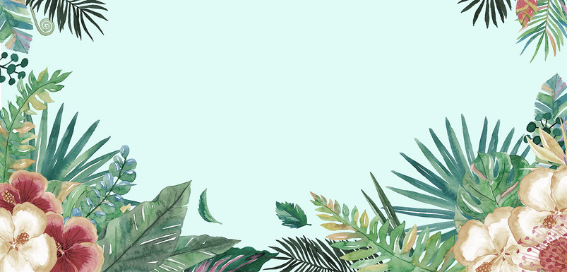 绿色植物装饰边框夏季女装海报背景