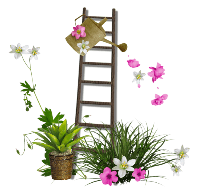 植物鲜花盆栽兰花洒水壶浇花梯子