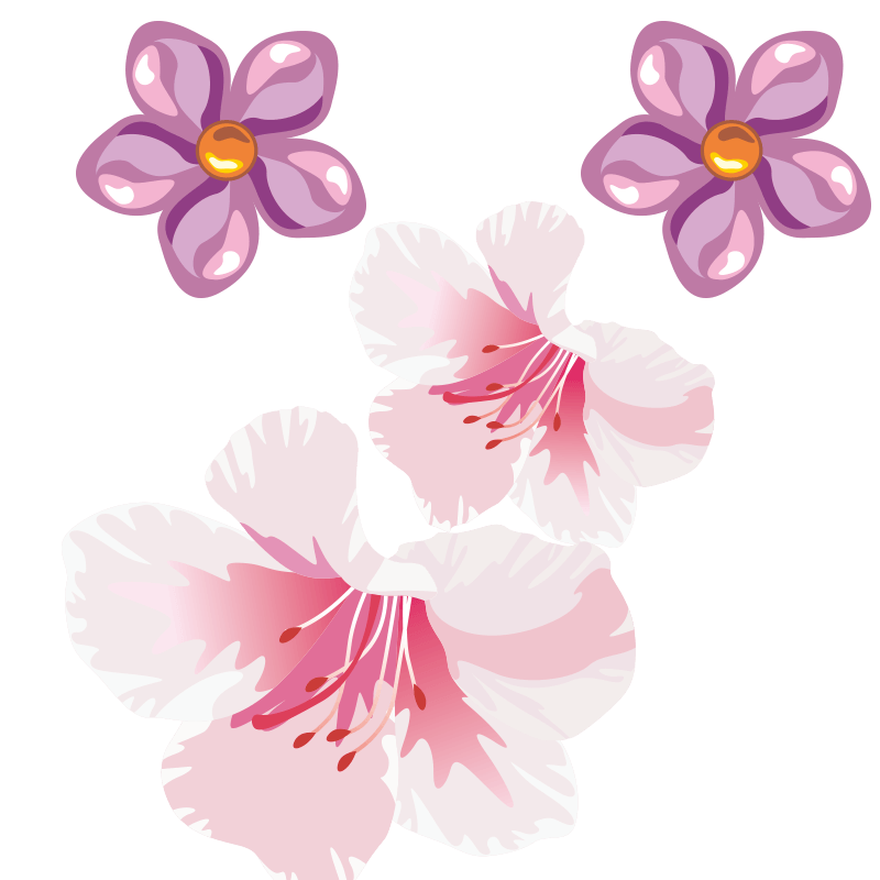 花  粉色花瓣