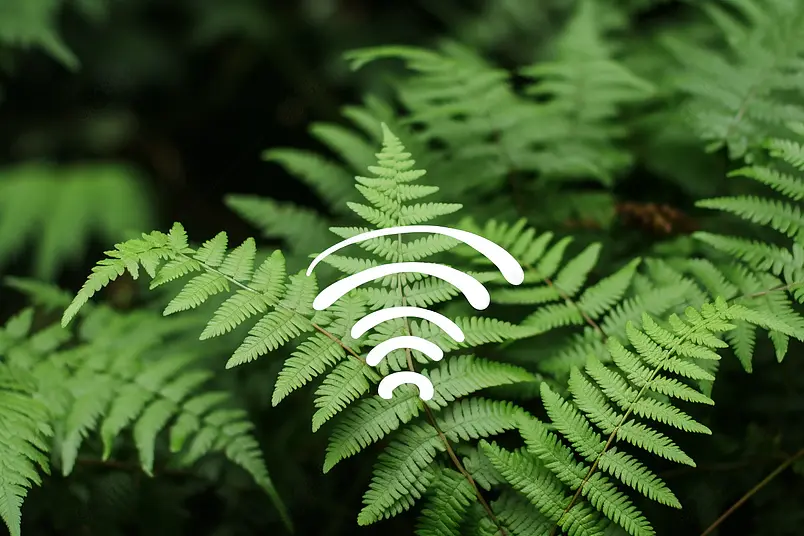 wifi