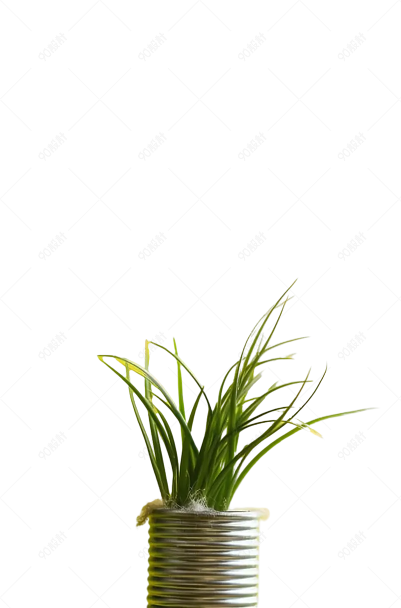 绿色生长茂盛的植物铝箔花盆