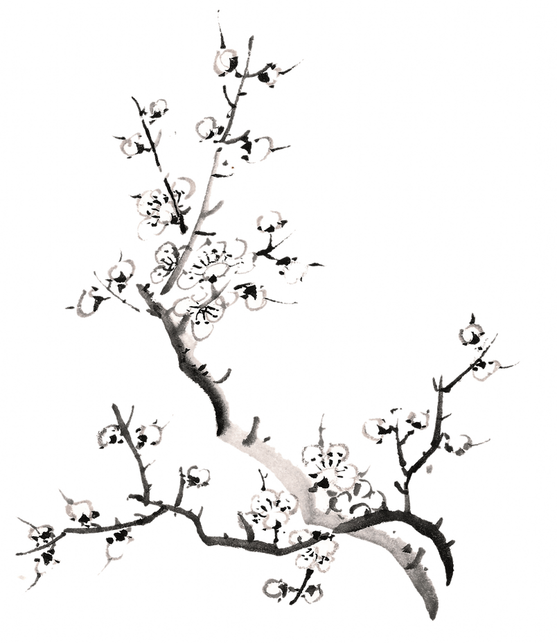 中国水墨元素 手绘梅花