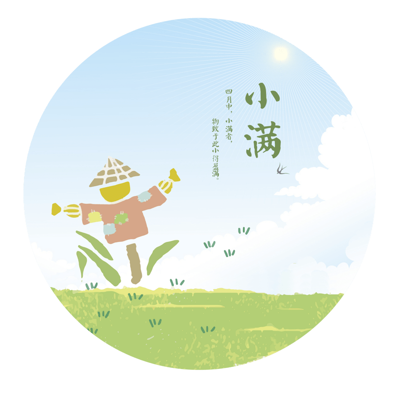 小满节日稻草人麦田