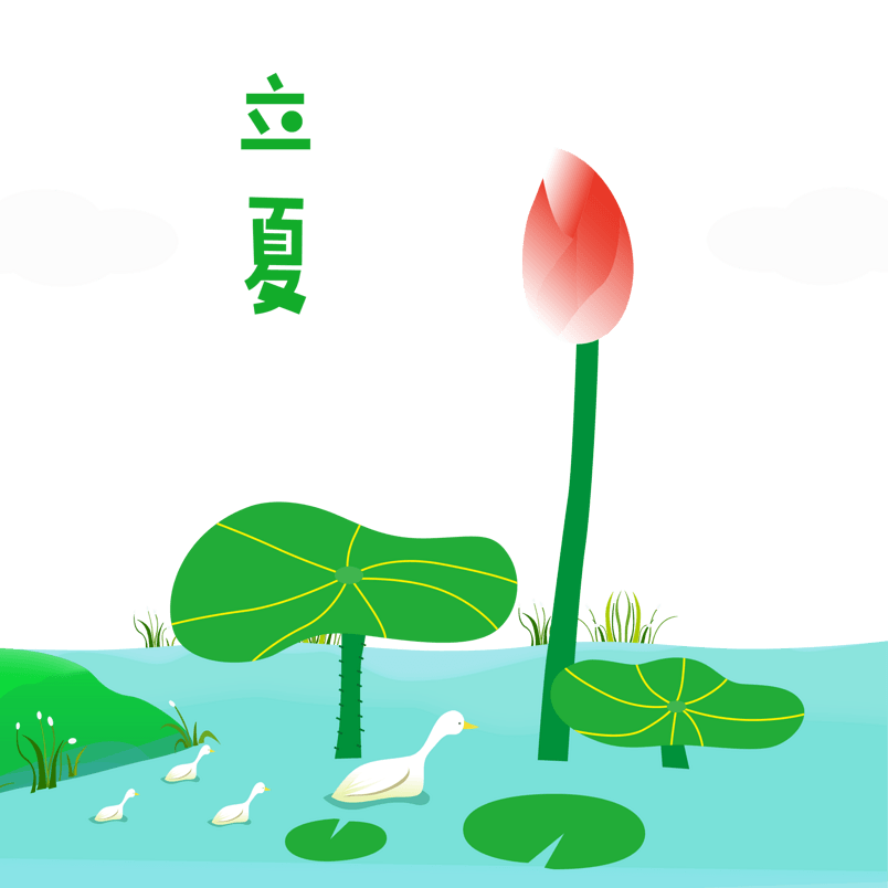 节气立夏荷花夏至png