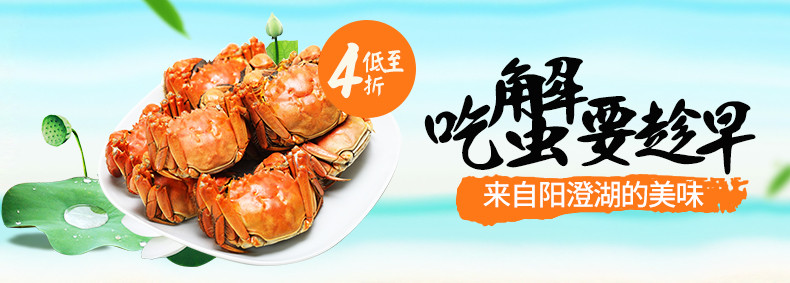 夏季螃蟹钻展图PSD模版