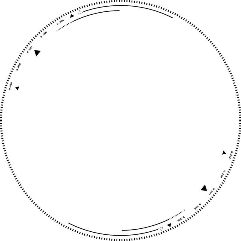 水墨素材水墨墨迹图片科技感抽象