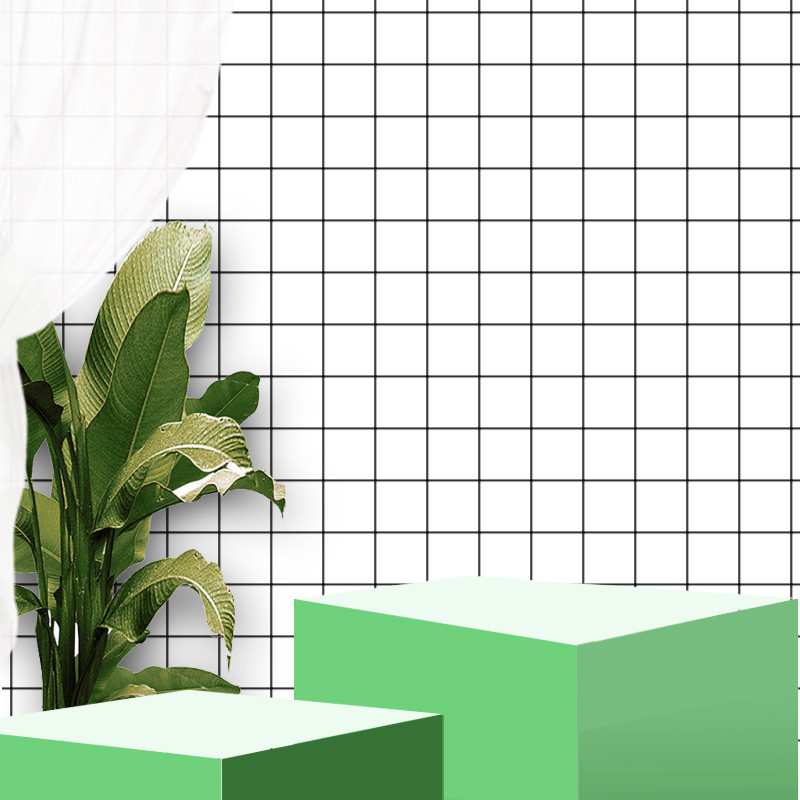 简约文艺清新绿植空间立体电商主图背景