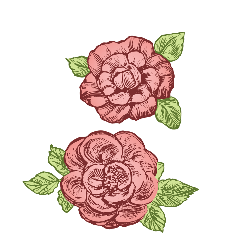 复古月季花