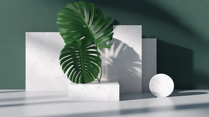 绿色绿植植物静物拍摄
