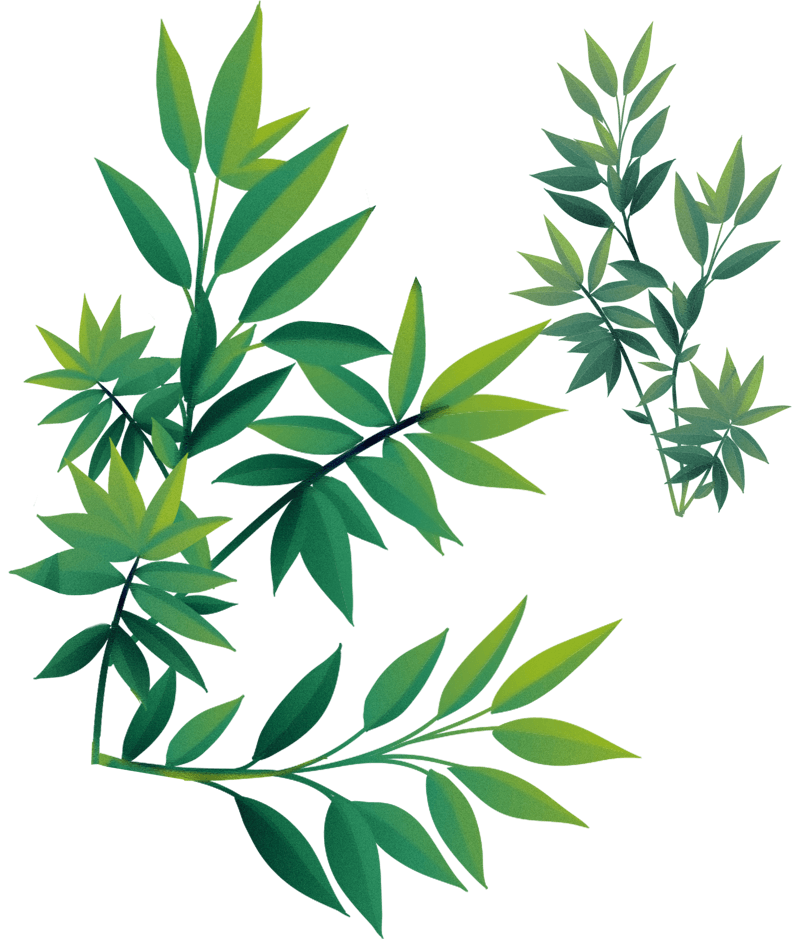 春天树叶绿植绿叶