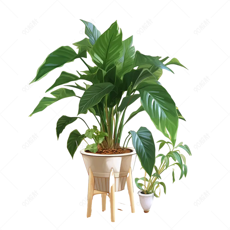 手绘家居客厅沙发旁的绿植白掌