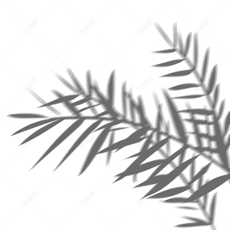 植物投影树叶摆动手绘素材光影图