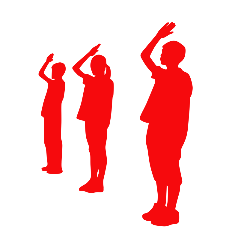 党建国庆节学生敬礼剪影