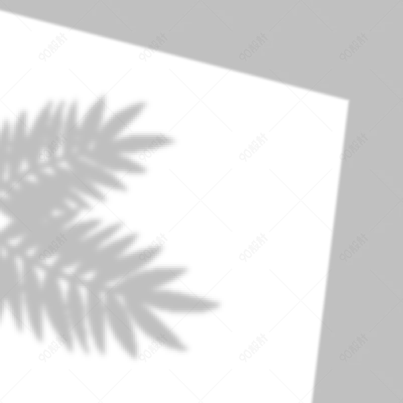 光影元素简约窗户树叶投影阴影元素