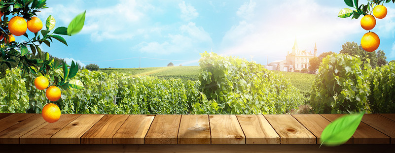 蓝天白云清新木板展台食品饮料水果海报背景