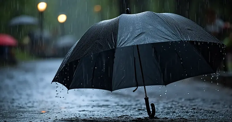 雨下得很大，雨季要撑伞
