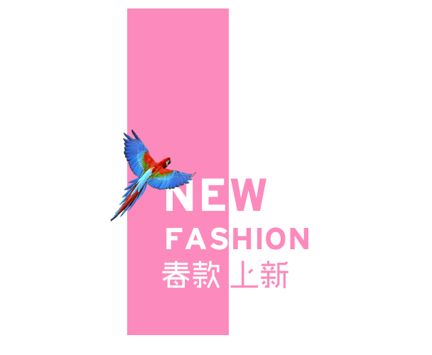 春款上新