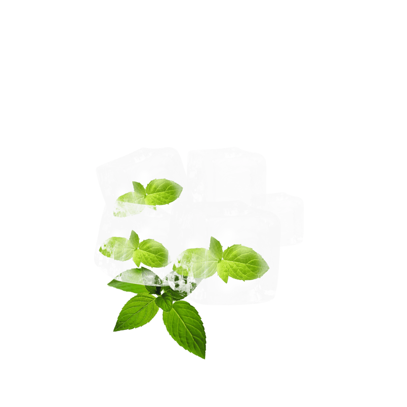 清新树叶冰块冰晶元素
