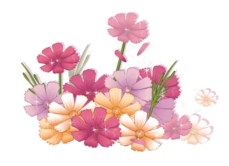 花边花纹