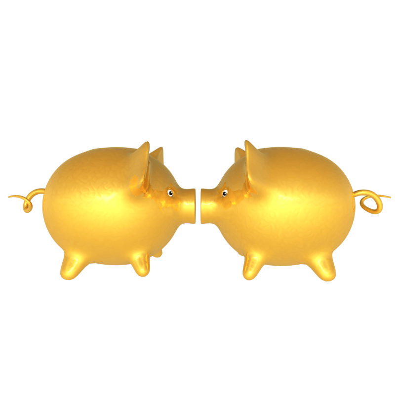 C4D立体亲嘴猪2019年金猪