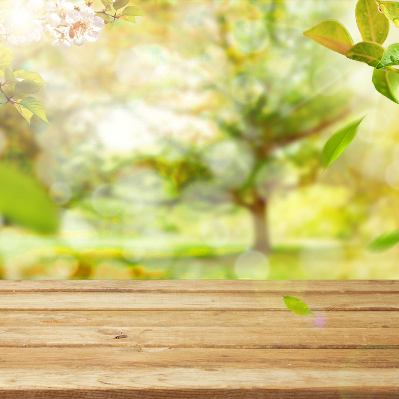  淘宝清新绿叶食品PSD主图背景素材