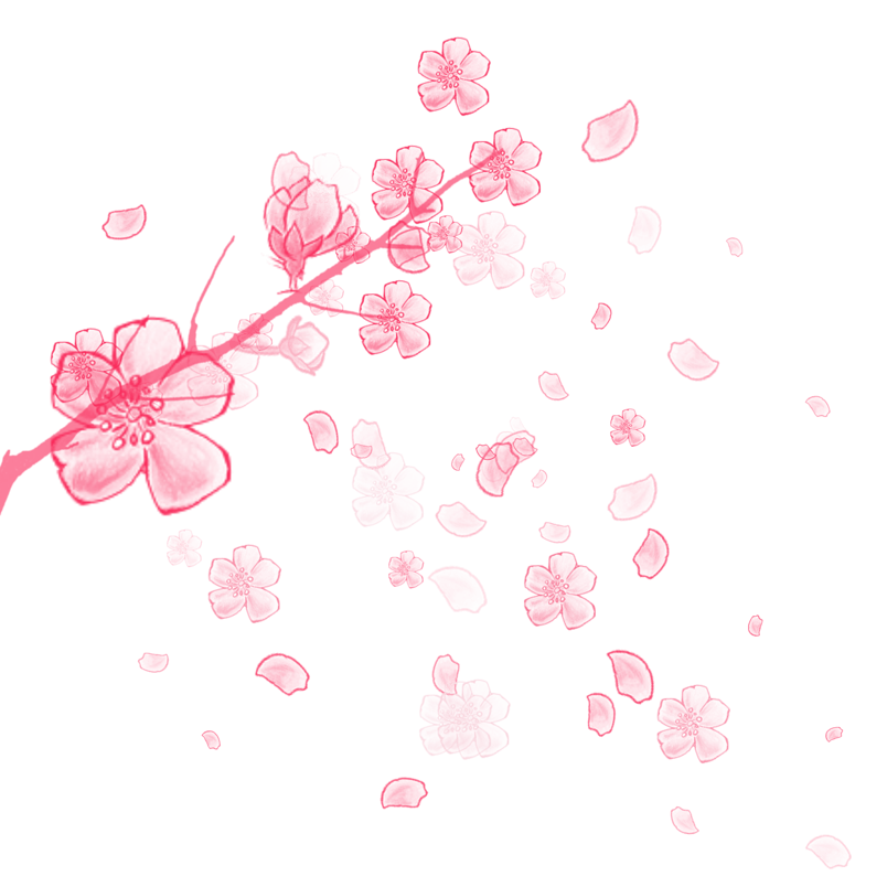 唯美樱花花枝花瓣元素