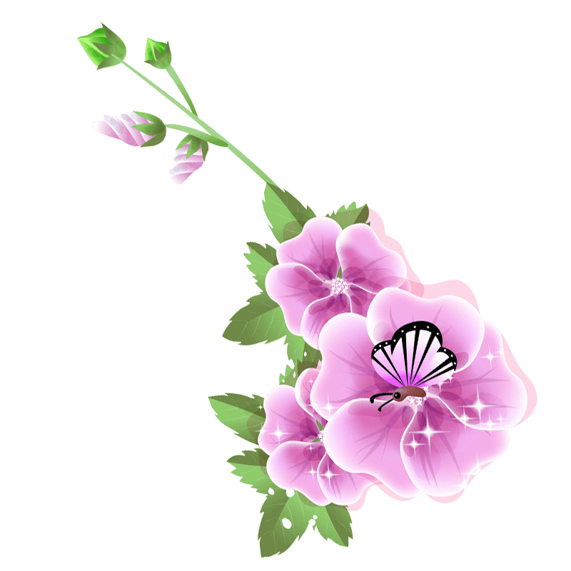 花边花纹花框鲜花