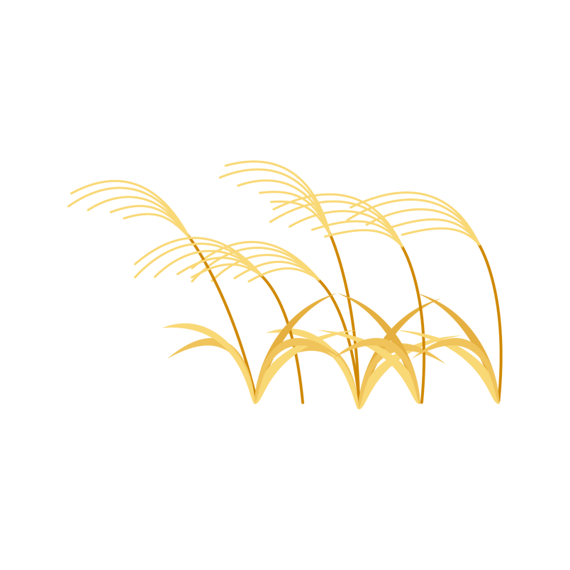 秋天金色黄色小麦稻子卡通插画素材
