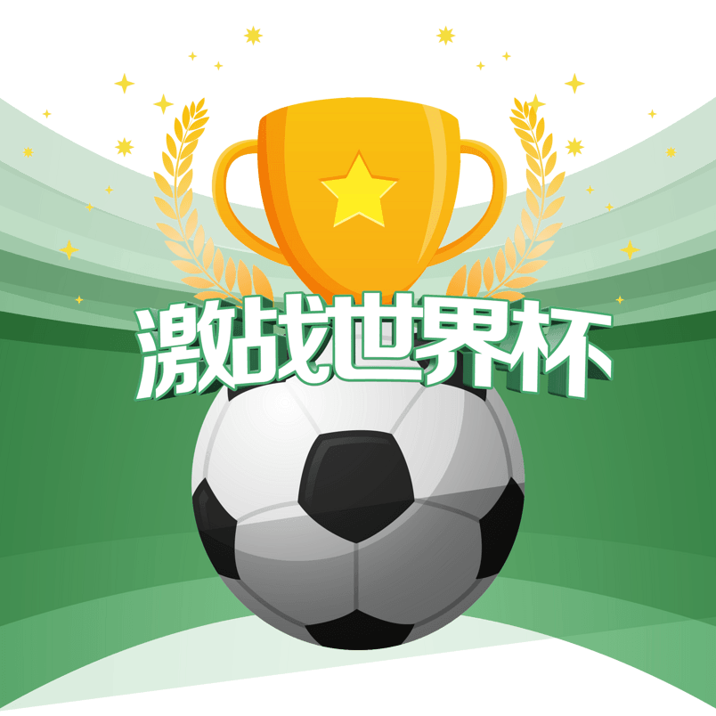 激战世界杯足球比赛