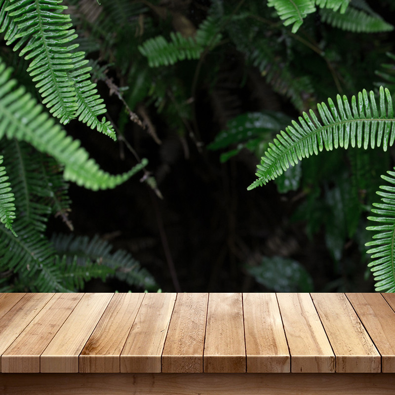 绿色清新树叶木板树林主图直通车背景