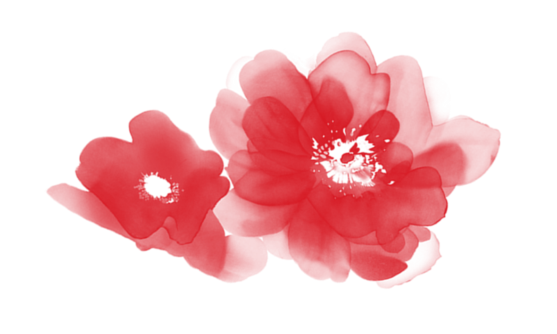 花朵花卉