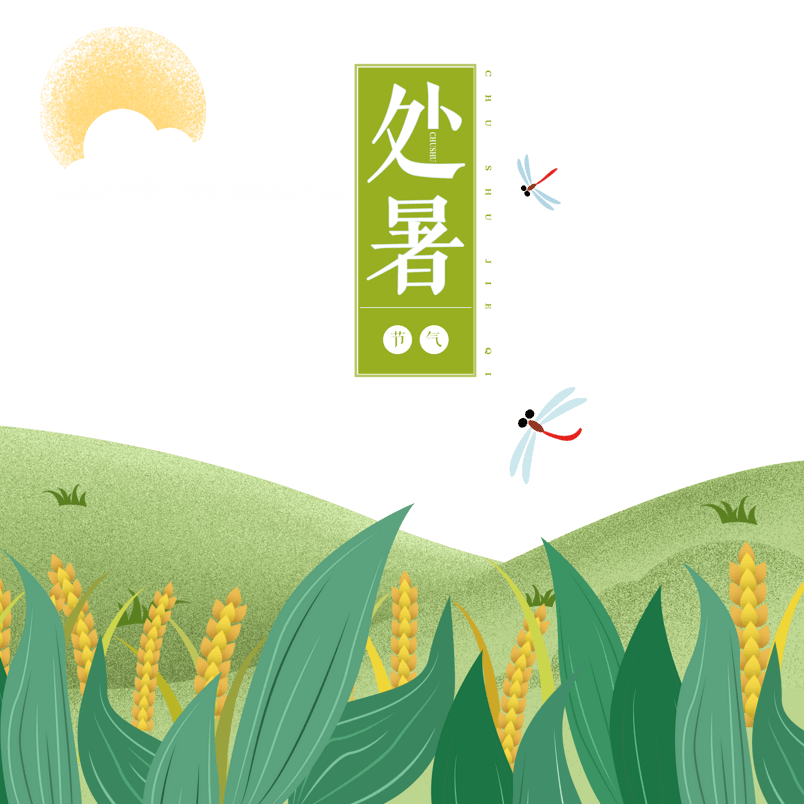 处暑节气小清新野外景色