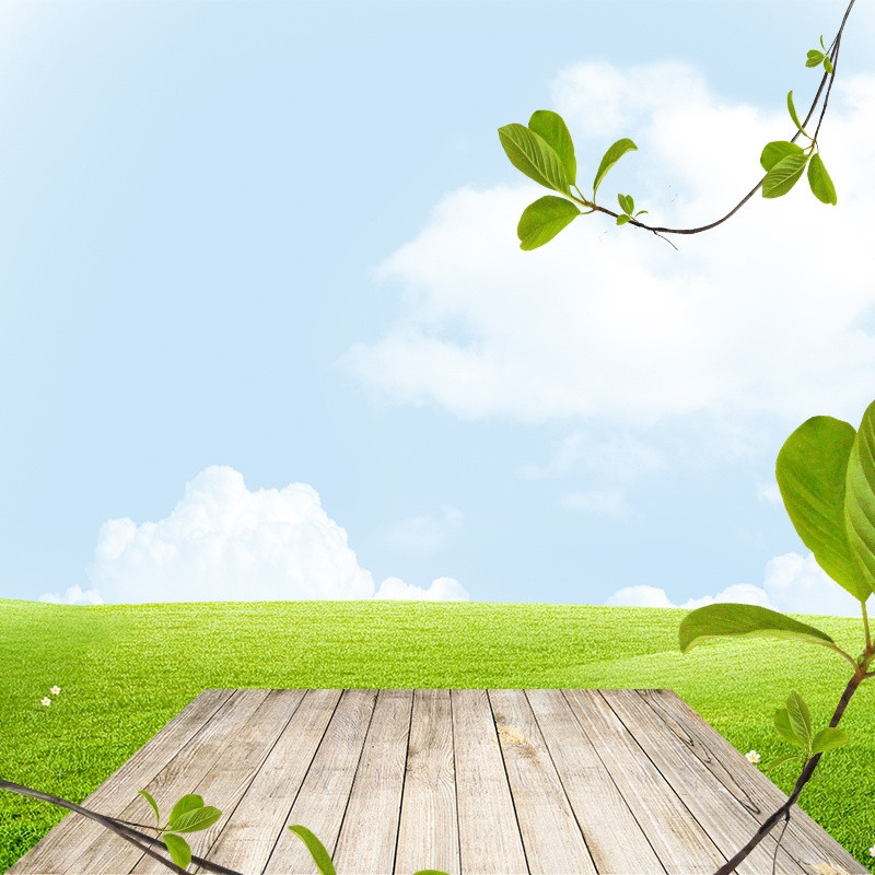 绿色清新食品美食特产茶饮料主图直通车背景