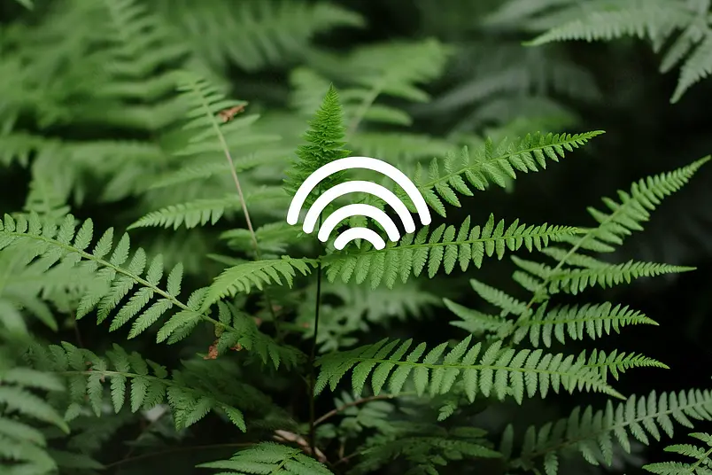 wifi