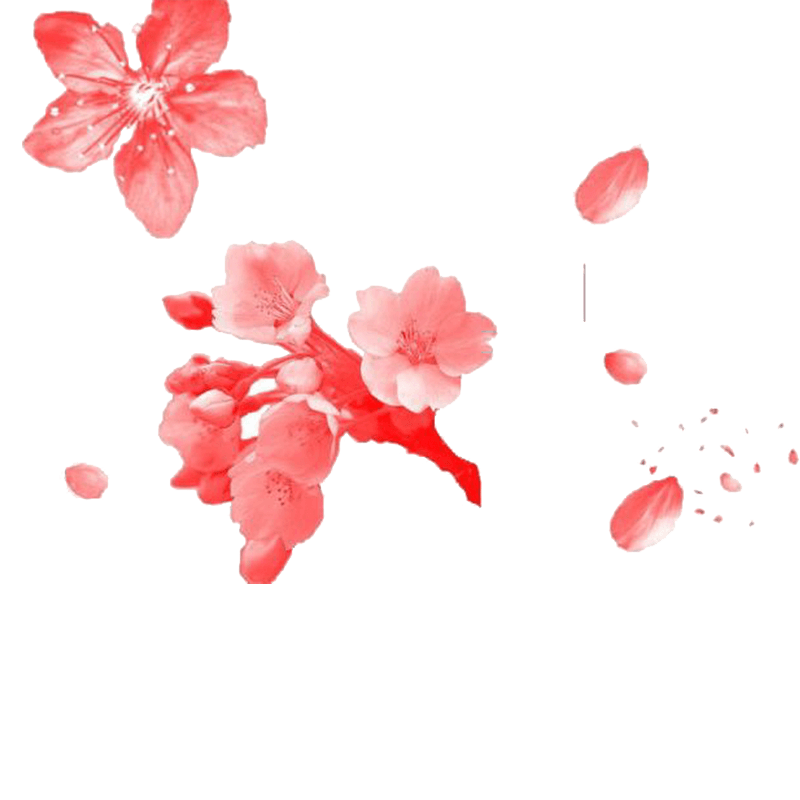 粉撒飘落花瓣