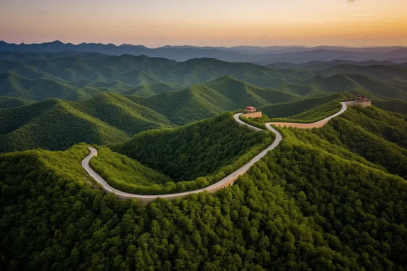 绿色森林公园自然风景实拍摄影图