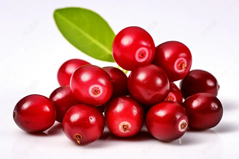 新鲜蔓越莓