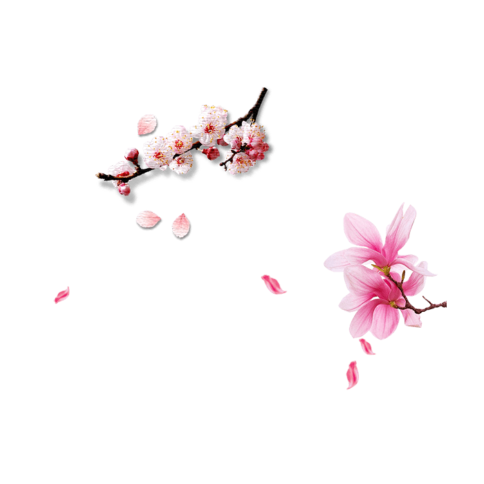 梅花花瓣