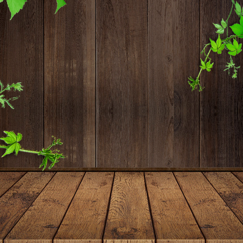 复古中国风食品养生中药材主图直通车背景