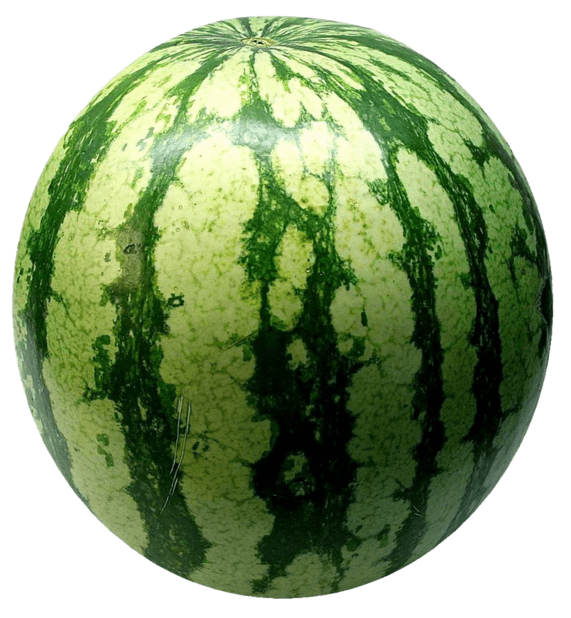 夏季凉爽多汁的水果西瓜