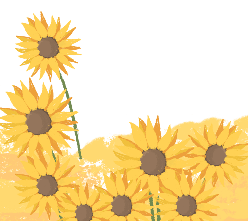 夏天黄色向日葵banner