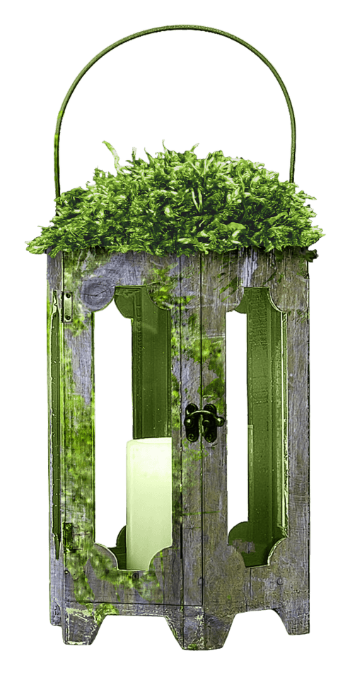 植物路灯