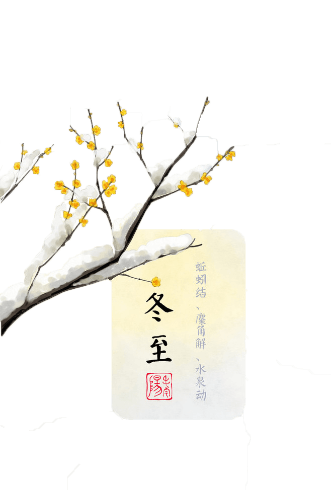 冬至梅花