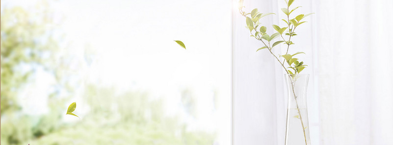 绿色简约小清新室内精品女装海报背景图