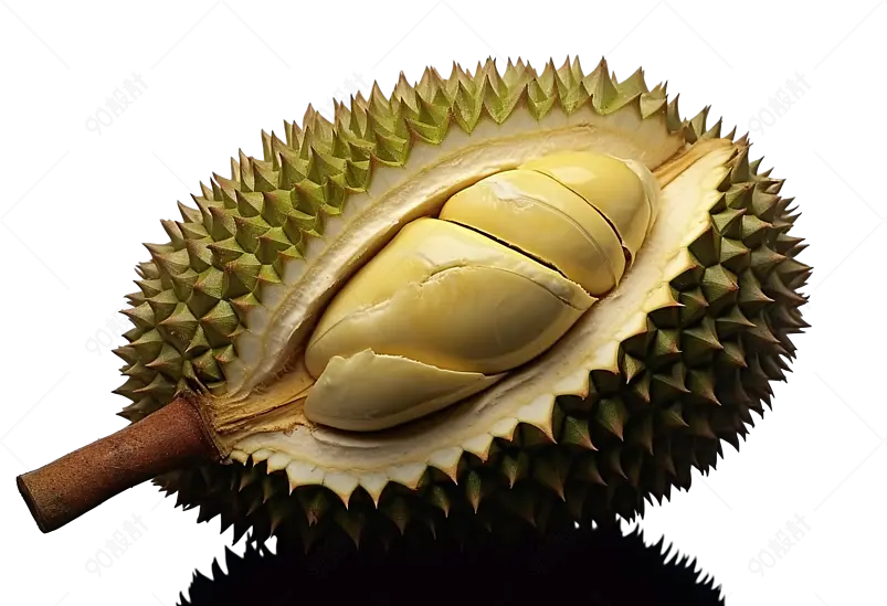 榴莲肉金枕头泰国大榴莲榴莲特写