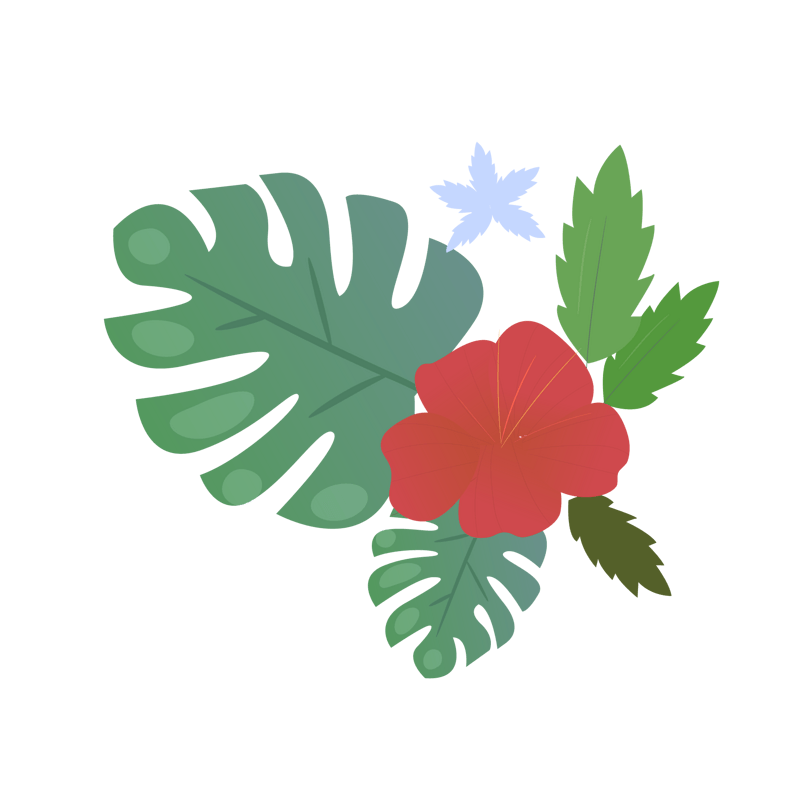 夏季夏天夏至花朵素材