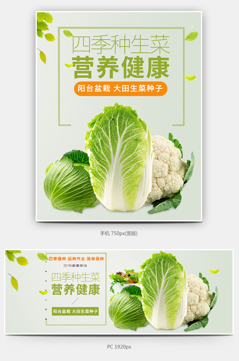  清新新鲜白菜卷心菜花菜蔬菜海报